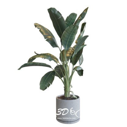 Plant free