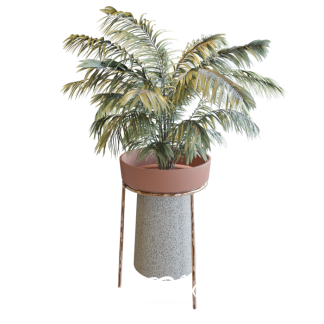 plants 02