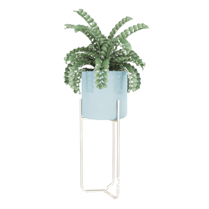Free Plant