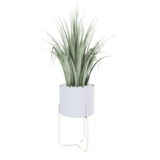 Plant 03