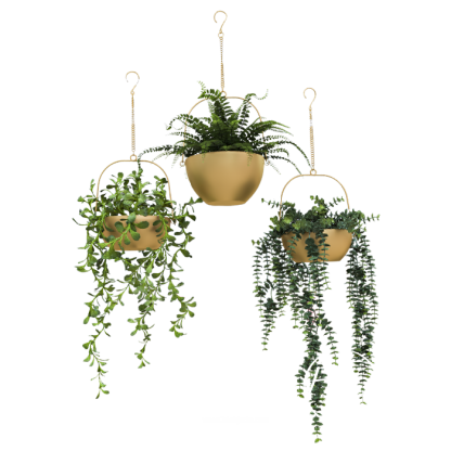 Roof Plants