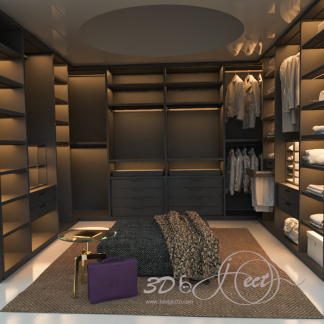 Luxury Closet Room