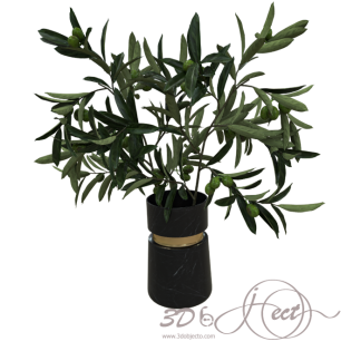 Plant with Black Vase