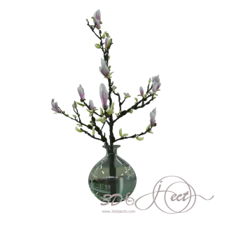 Clear Vase