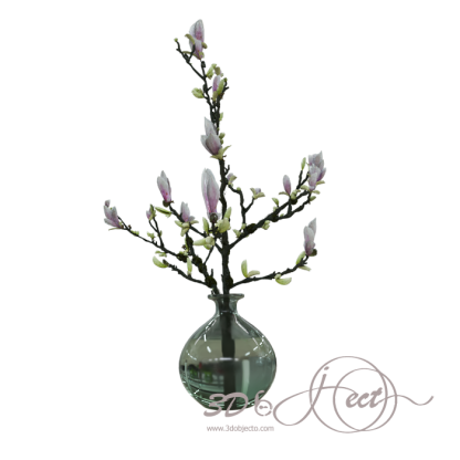 Clear Vase